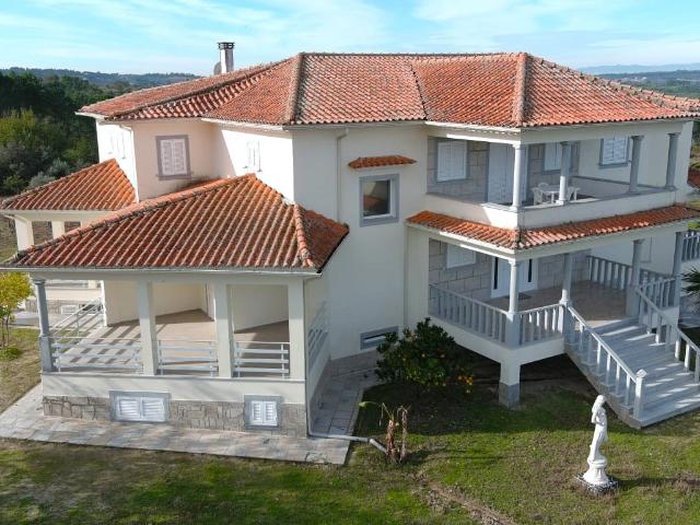 Quinta com Moradia T4, Piscina, Vinha e 10,2 ha Região do D. 564m² Vila Nova De Tazem