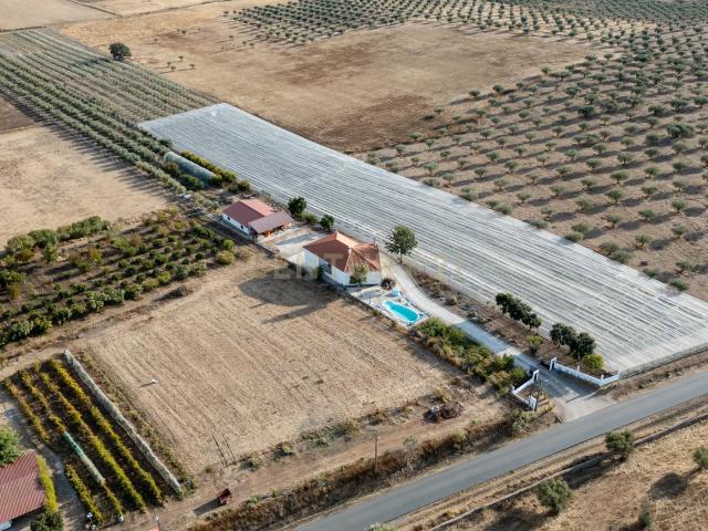 Quinta com Moradia T4 e Piscina | 3,25 hectares| Olival | Vinha| Amareleja, Alentejo