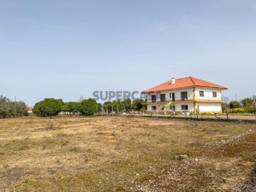 Quinta com moradia T6 de 2 pisos, com 9200 m2 de terreno, na típica Vila da Golegã