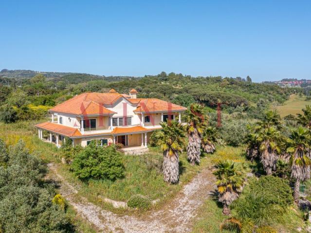 QUINTA COM MORADIA T7 EM BUCELAS VILA DE REI