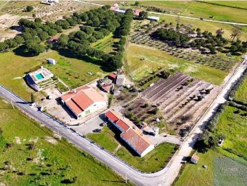 Quinta com Moradia Térrea T4 Jardim e Piscina em Coruche 187m² Coruche, Fajarda e Erra