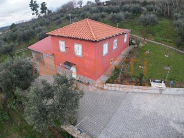 Quinta com oliveiras Moradia T2+1