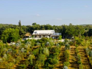 Quinta com agrofloresta no Alentejo Um refúgio sustentável em Montemor o Novo