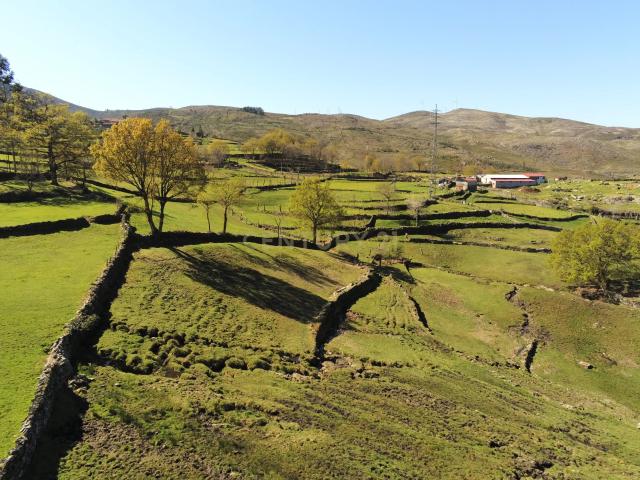 Quinta com água Nascente na Zona de Gerês