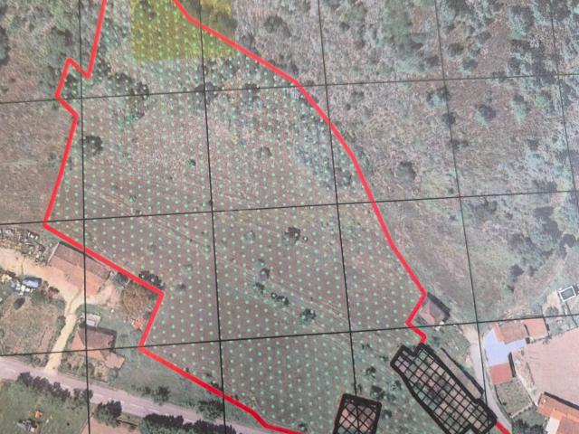 Quinta com água própria, casa e anexos em pedra