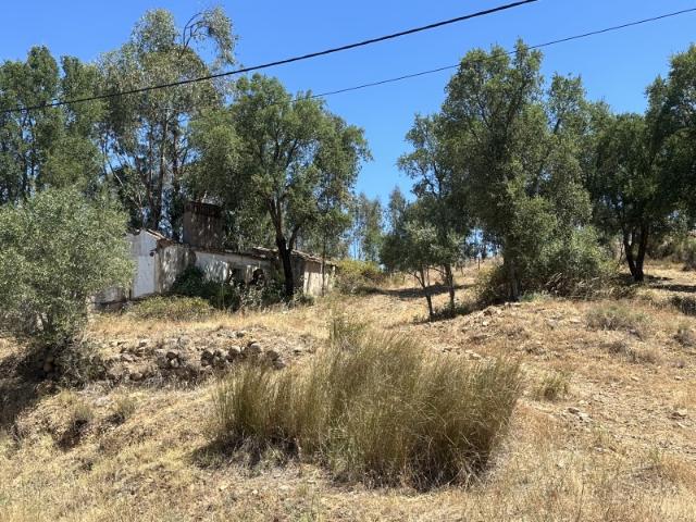 Quinta com área total de 13320 m2