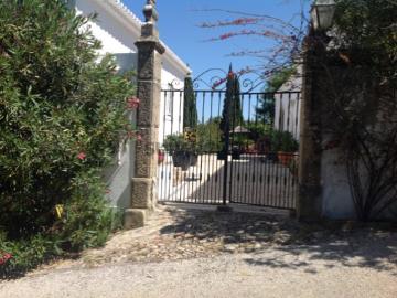 QUINTA com casa ano 1900 e Vinha com 8 hectares, marca propria | Piscina, Jardim, Adega, Gym | VS
