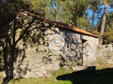 Quinta com Casa em Pedra com 5.455 m² em Bodiosa a 10 km de Viseu