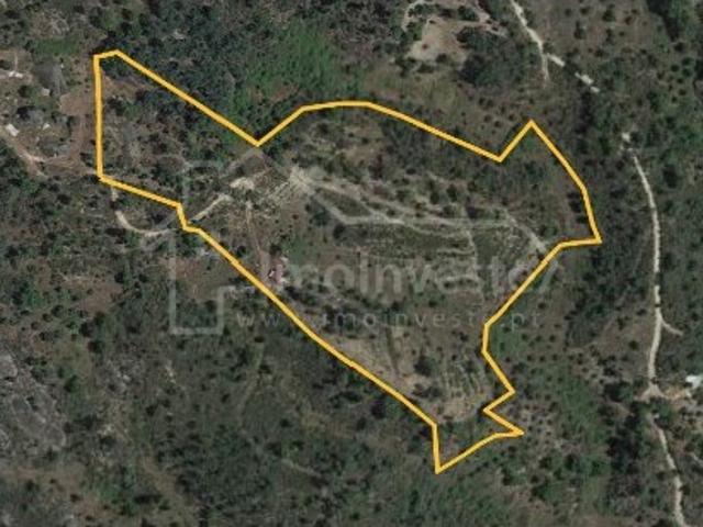 Quinta com casa em pedra e Mina de água