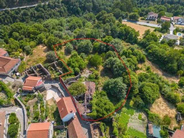 Quinta com Casa em Pedra para Restauro Século XIX