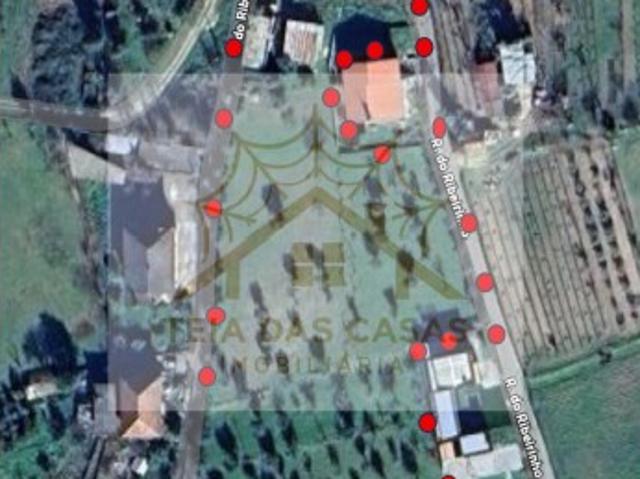 QUINTA COM CASA HABITÁVEL EM MANGUALDE