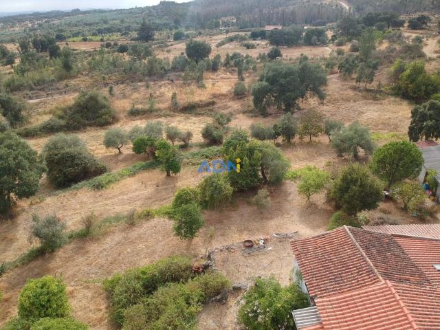 Quinta com Casa, Poço, Mina, 1ha e Arvores de fruto