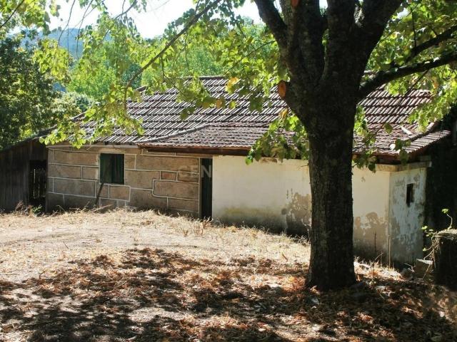 Quinta com casa para recuperar no Marco de Canaveses
