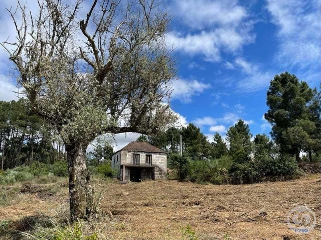 Quinta com casa para restaurar em Vilarinho das Paranheiras