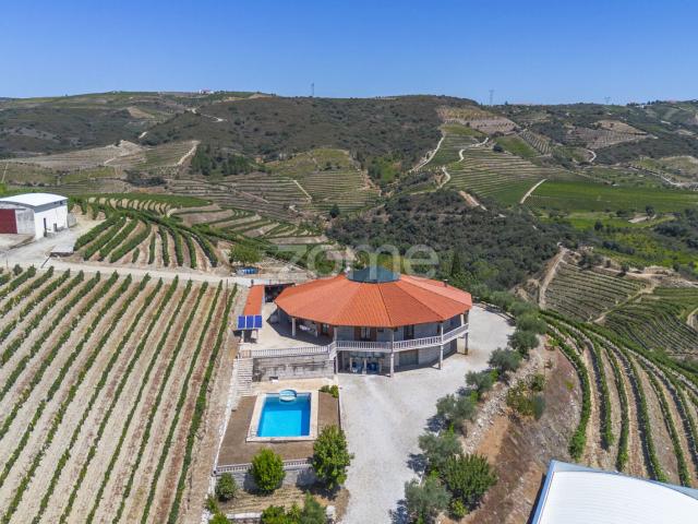 Quinta com casa, piscina e exploração vitivinícola