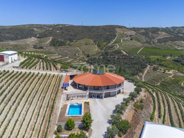Quinta com casa, piscina e exploração vitivinícola