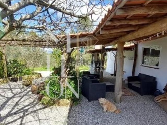 Quinta com casa renovada recentemente