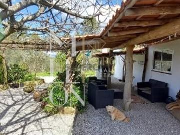 Quinta com casa renovada recentemente