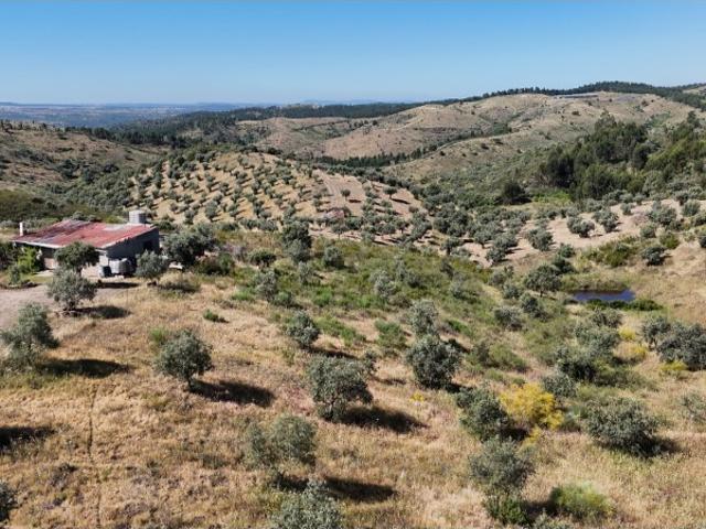 Quinta com Casa Rural com oliveiras e rodeada de paisagem panorâmica Castelo Branco
