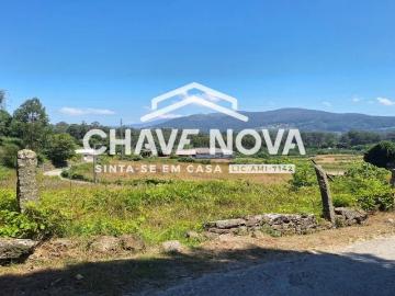 Quinta com Casa Rural para Reconstrução Vala Cambra