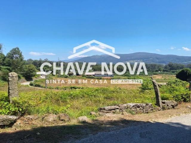 Quinta com Casa Rural para Reconstrução Vala Cambra