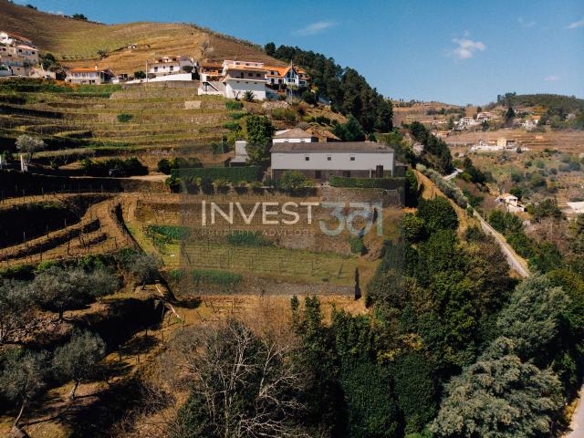 Quinta com Casa, Vinha e Capela Histórica no Douro | Santa Marta de Penaguião