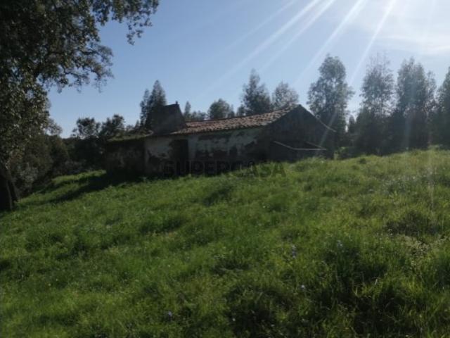 Quinta com casas para recuperar