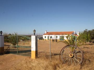 Quinta com cerca de trinta hectares no Alentejo, com monte A. 100m² Aldeia Nova De São Bento