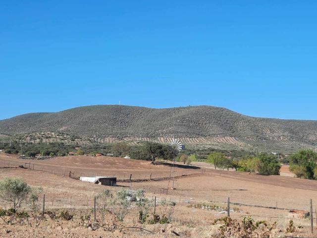 Quinta com cerca de um hectare situado em Vila Verde de Ficalho/ Serpa
