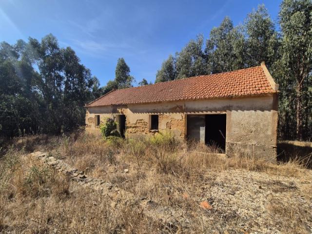 Quinta com cerca de 14 hectares e ruína
