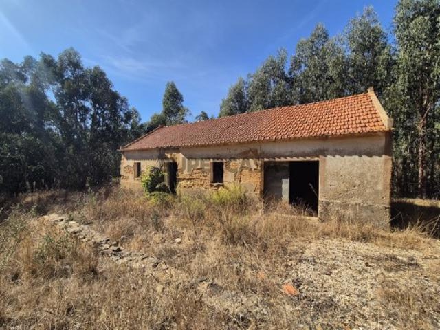 Quinta com cerca de 14 hectares e ruína