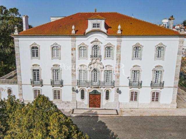 Quinta com cerca de 11 ha com magnífico Palácio 2500m² Fronteira