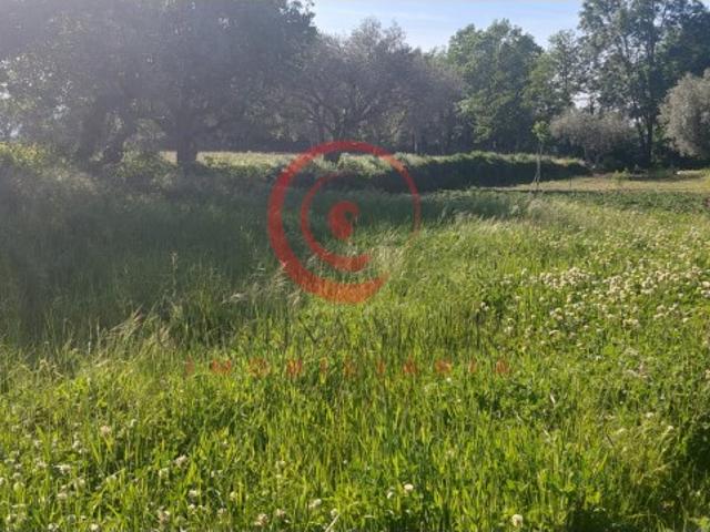 Quinta com cerca de 1,5ha a 5km da cidade de Chaves, Portugal