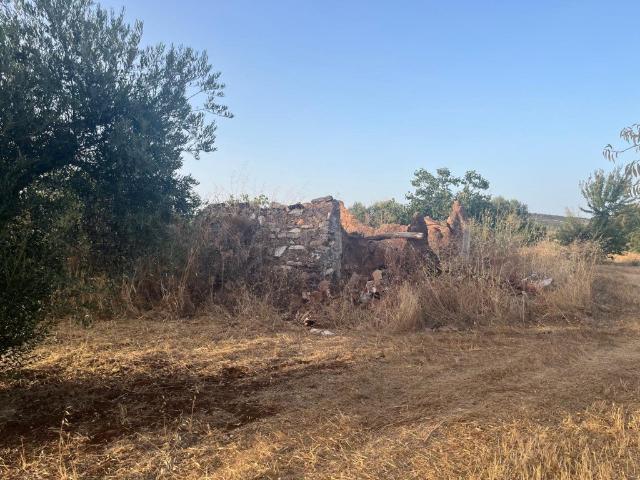 Quinta com cerca de 2 hectares 0m² Vila verde de ficalho