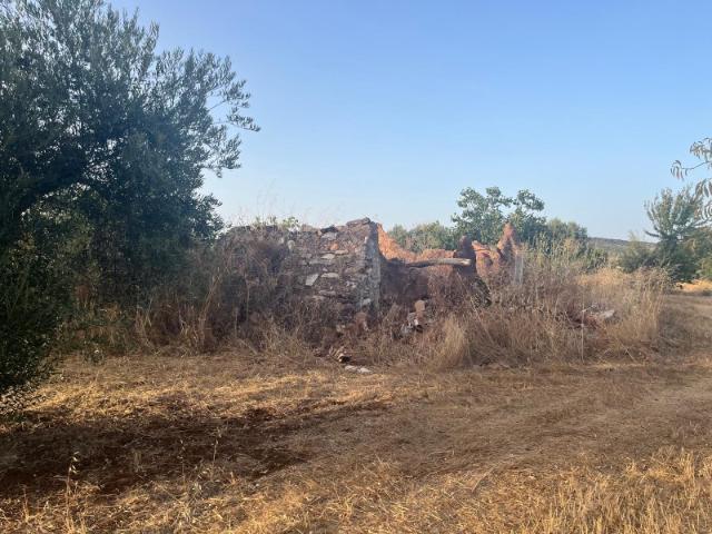 Quinta com cerca de 2 hectares