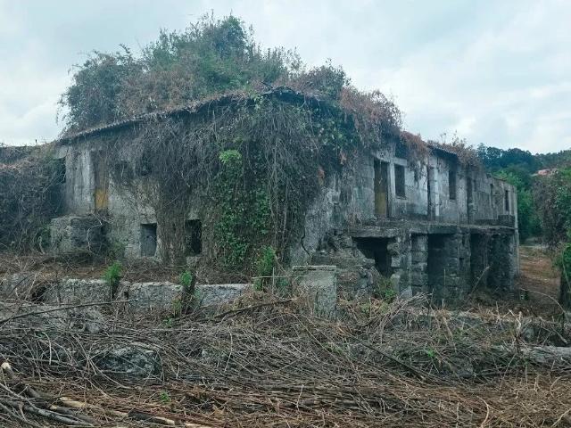 Quinta com cerca de 3 hectares