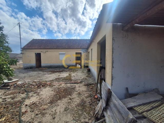 Quinta com cerca de 5 Ha Terrenos Rústicos para Agricultura, Investimentos, com Habitação e Anexos