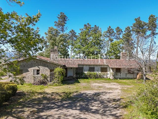Quinta de 8 ha com 3 casas e cerejeiras no Fundão