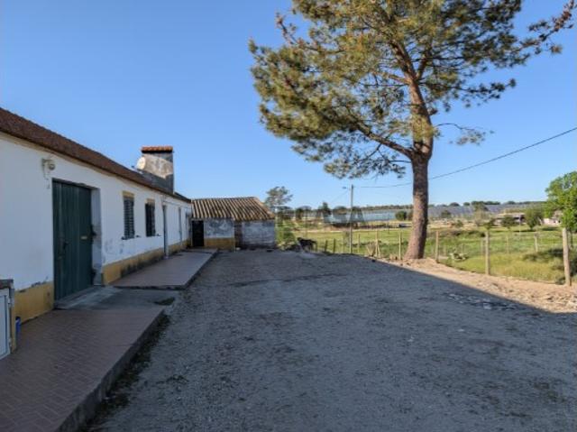 Quinta com duas Moradias T2 + 2,5 Hectares em Pegões | Investimento Único