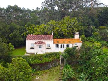 Quinta com Duas Moradias – Um Refúgio Exclusivo em Ribeira Grande