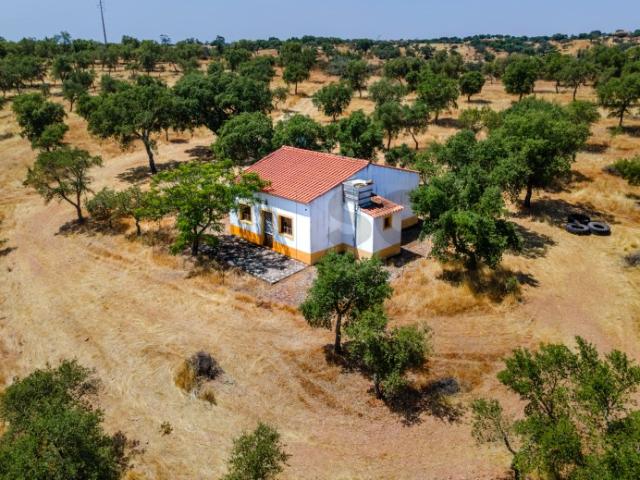 Quinta T2 em Serpa | Vista para a barragem