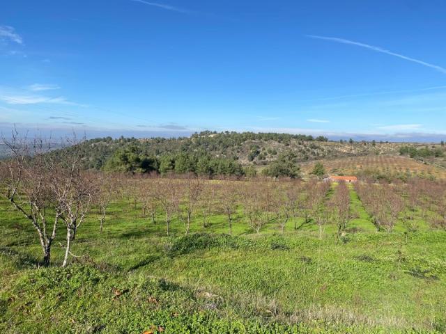 Quinta com enorme potencial em Trás os Montes