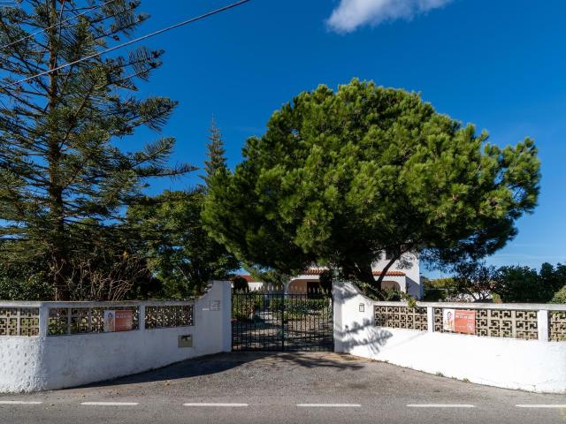 Quinta com grande potencial na zona de Porches