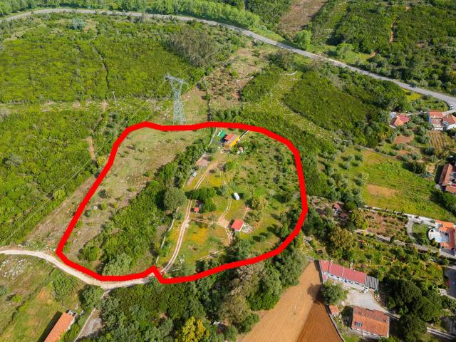 Quinta com habitação Alcobaça