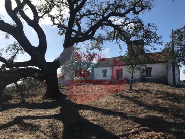 Quinta com habitação em São Francisco da Serra