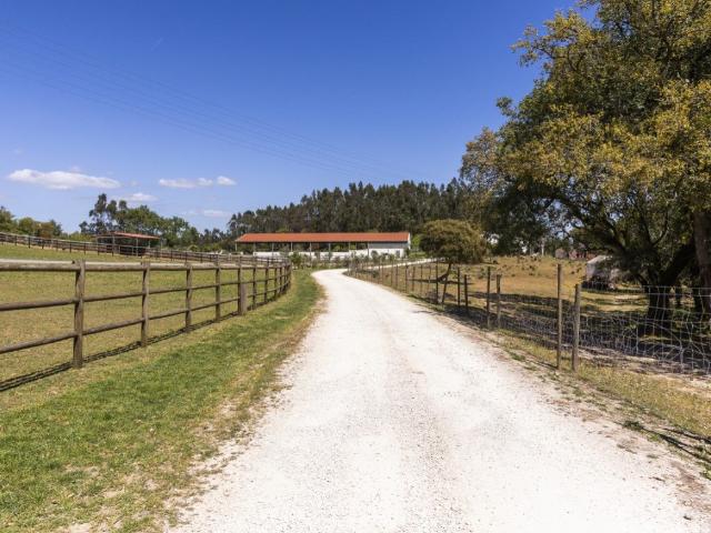 Quinta com Instalações Equestres em Sintra 0m² Algueirão Mem Martins
