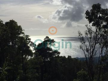 Quinta com lote de terreno de 180.000m2. Projecto para Hotel, Moradias, Apartamentos e Mini quintas