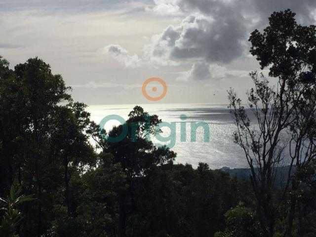 Quinta com lote de terreno de 180.000m2. Projecto para Hotel, Moradias, Apartamentos e Mini quintas
