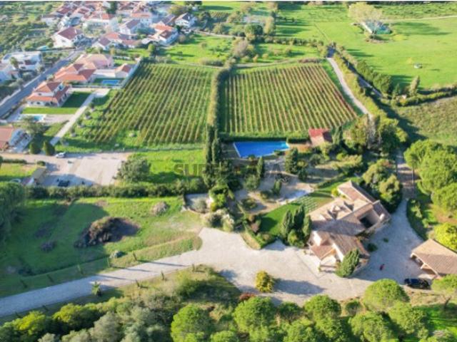 Quinta com Piscina e Vinha para Venda em Azeitão, Arrábida