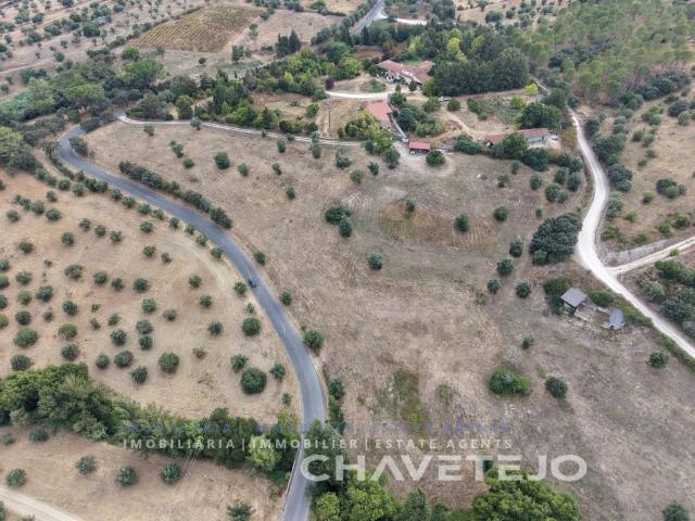 Quinta com Potencial Turístico e Equestre em Torres Novas. 0m² Torres Novas Santa Maria, Salvador e Santiago
